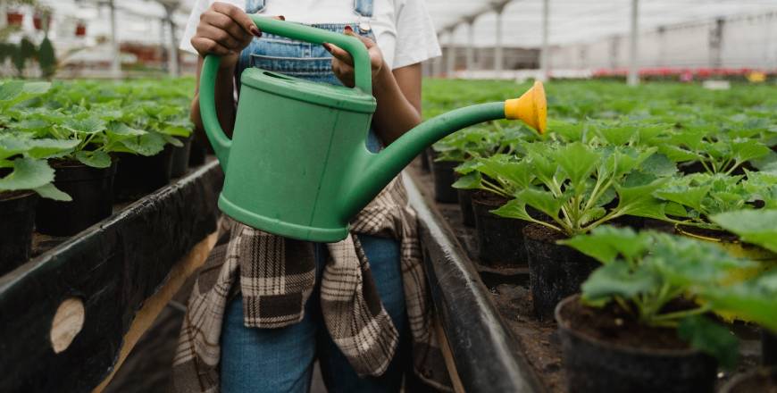 Agribusiness